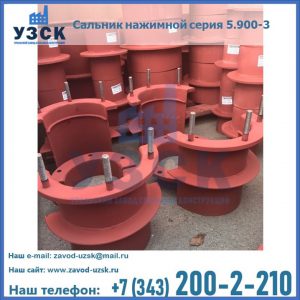 Сальники нажимные серия 5.900-3 в Бердске
